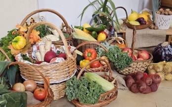 Dziękczynne Święto Żniw ’25